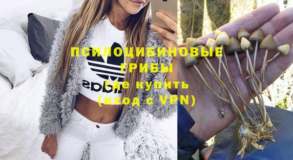 гашишное масло Мегион