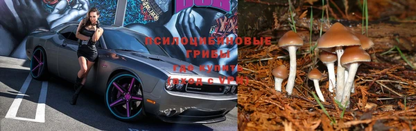 jwh Медвежьегорск