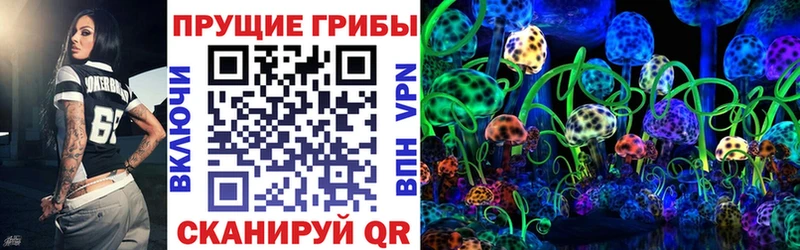 Купить где Яранск Галлюциногенные грибы Psilocybe