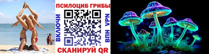 Галлюциногенные грибы Psilocybine cubensis Яранск